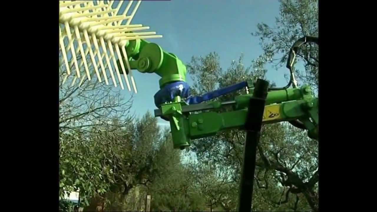 Il Tordo per macchine piccole -  Asquini macchine agricole