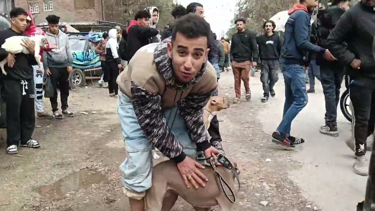 يا جماعة، جبت لكم فيديو ناااار 🔥 عن سوق الجمعة للكلاب! كل التفاصيل عن الأسعار وأرقام التليفونات 