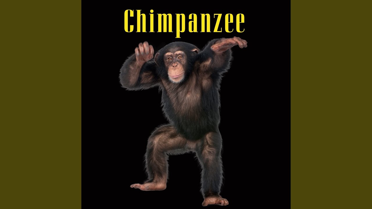 Moon - Dust