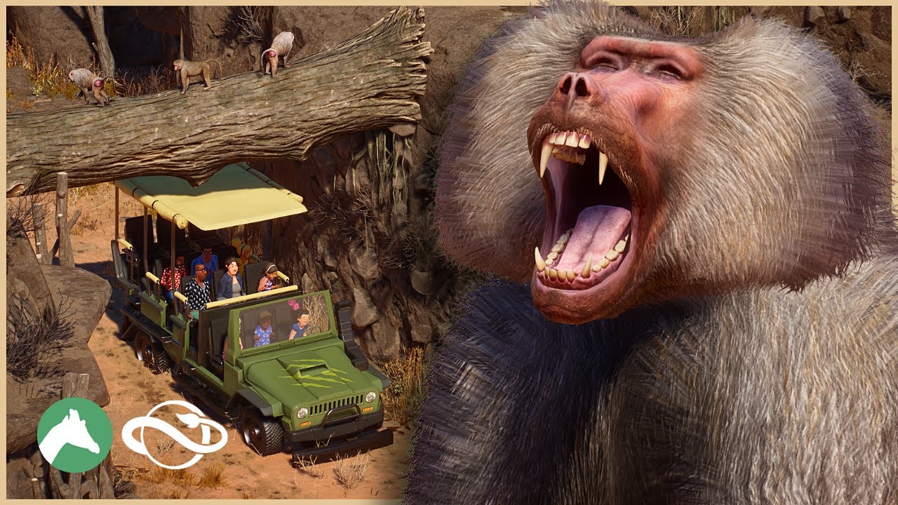 Building a BABOON Canyon with Jeep Safari in the Desert Adventure Park! | Planet Zoo