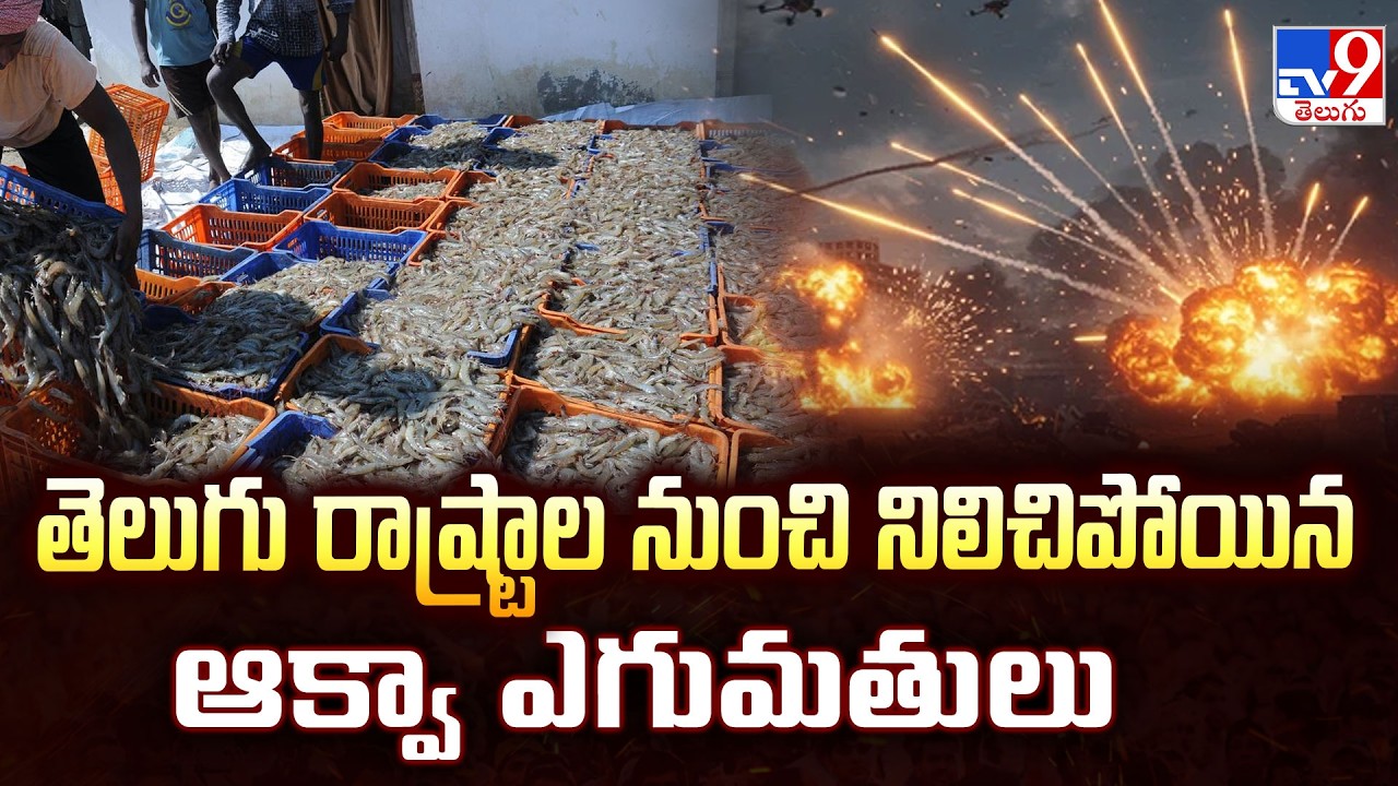 Iran War Effect: తెలుగు రాష్ట్రాల నుంచి నిలిచిపోయిన ఆక్వా ఎగుమతులు - TV9