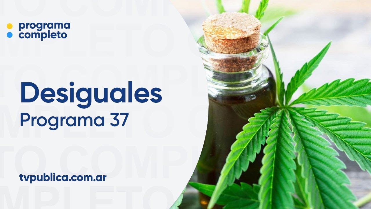 Cannabis Medicinal: Fernando Soriano, Silvia Kochen y Marcelo Morante - Desiguales