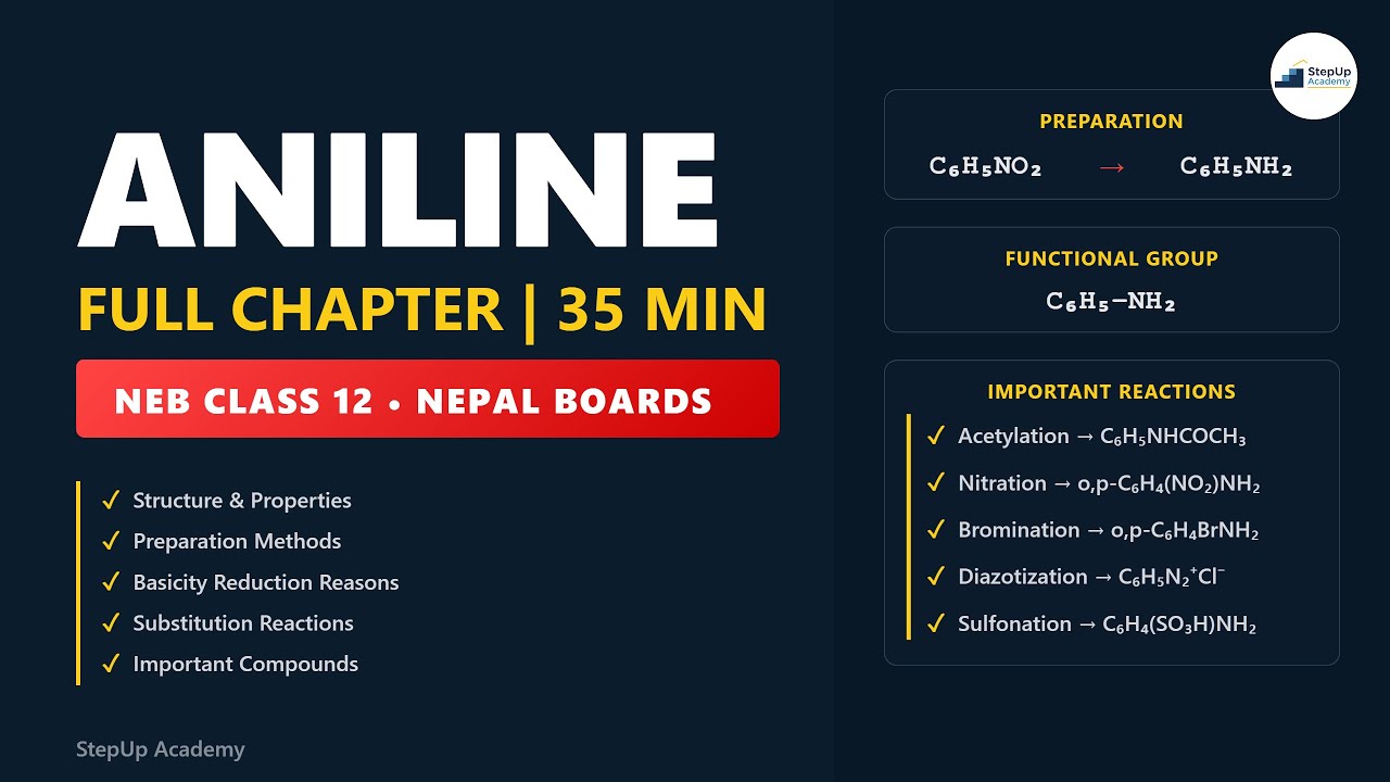 Aniline One Shot | Full Chapter in 35 Min | NEB Class 12 Organic Chemistry