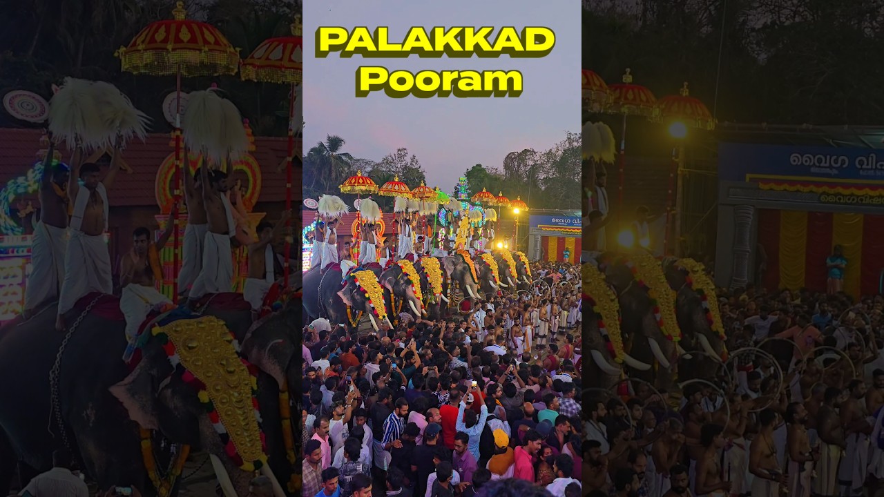 Pariyanampetta Pooram 2026 🐘✨ | Pride of Palakkad Festivals #Pooram2026 #KeralaCulture