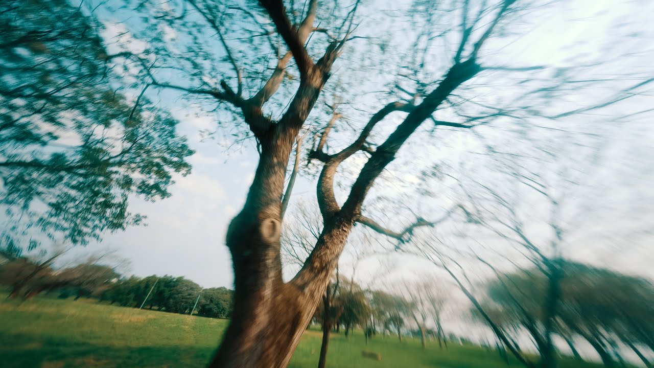 treestyle