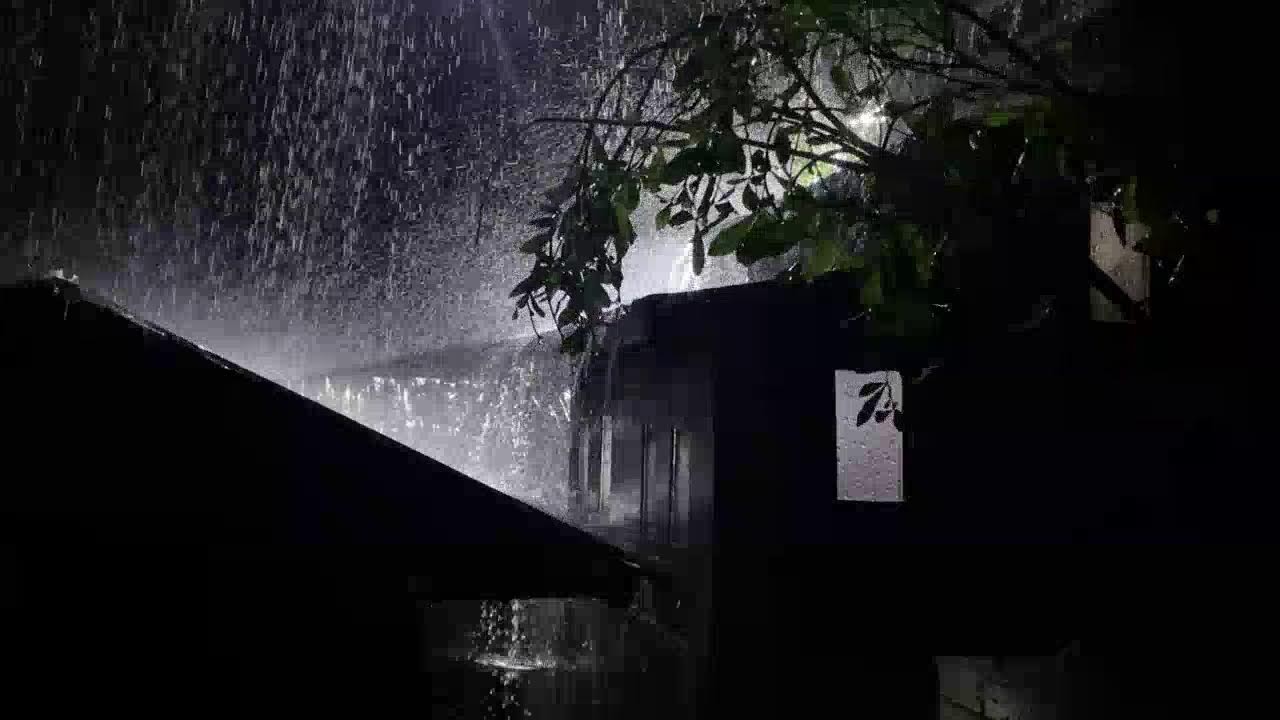 Deep Sleep Rain 🌙 Heavy Rain Falling on Tin Roof