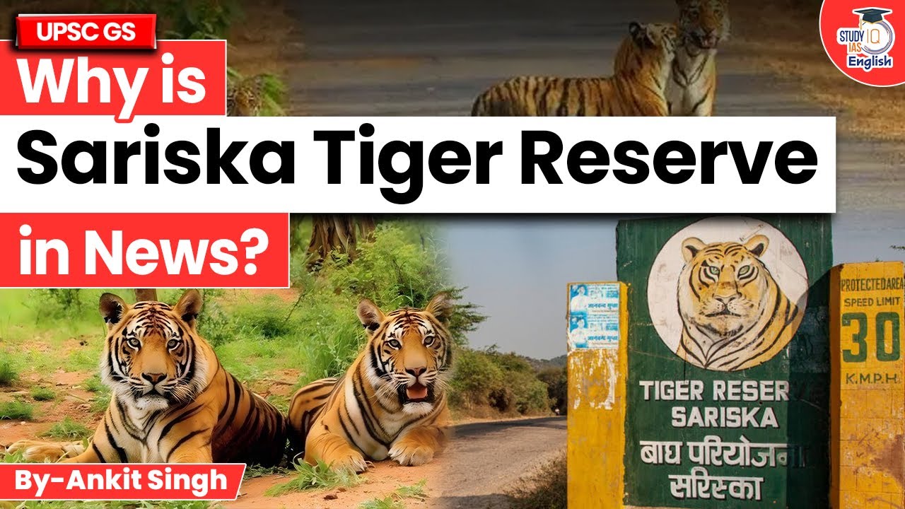 Why is Sariska Tiger Reserve in News? | By Ankit Singh | StudyIQ IAS English