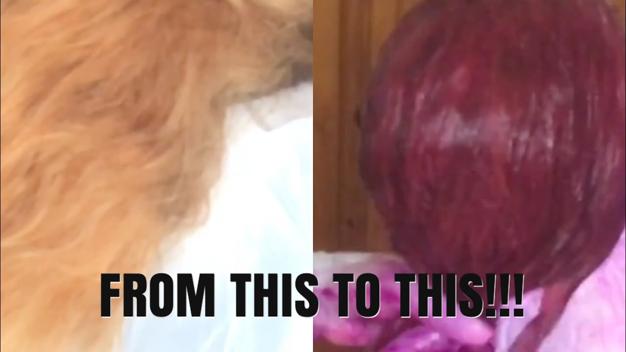 Beginner series|| HOW TO COLOUR YOUR BUNDLES FT ASTERIAHAIR
