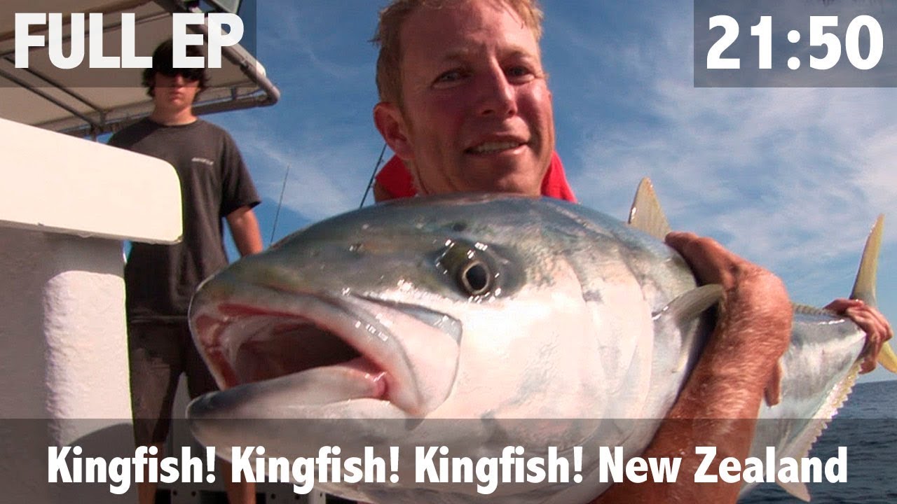Kingfish Kingfish Kingfish