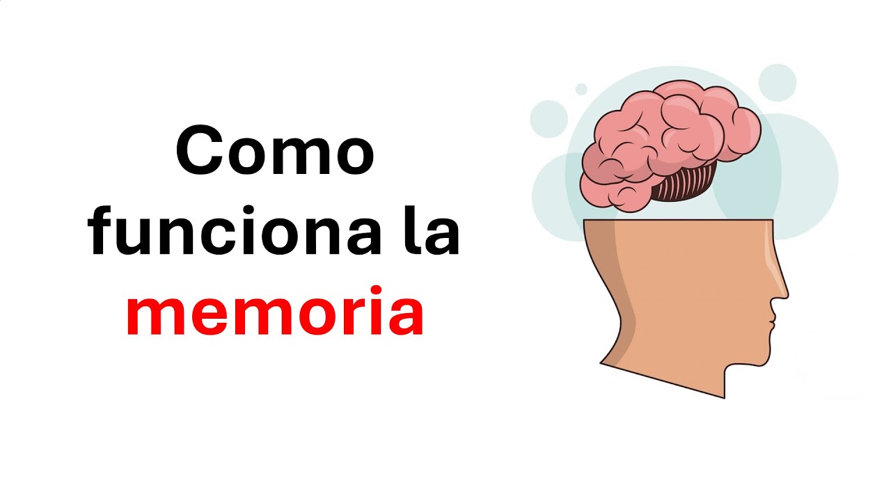 C&oacute;mo funciona la memoria y tips para mejorarla