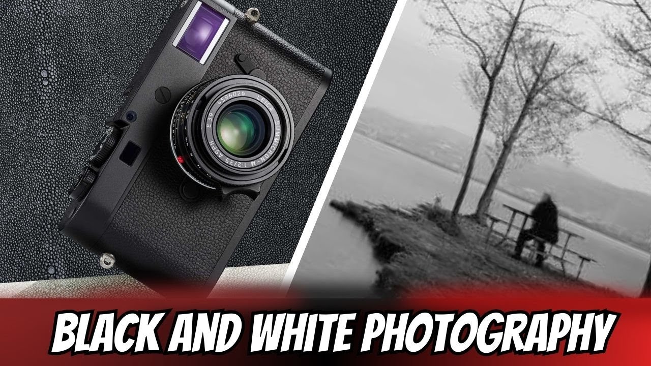 КОРОЛЬ ЧЕРНО-БЕЛОЙ ФОТОГРАФИИ: 4 лучших камеры для чёрно-белой фотографии в 2024 году