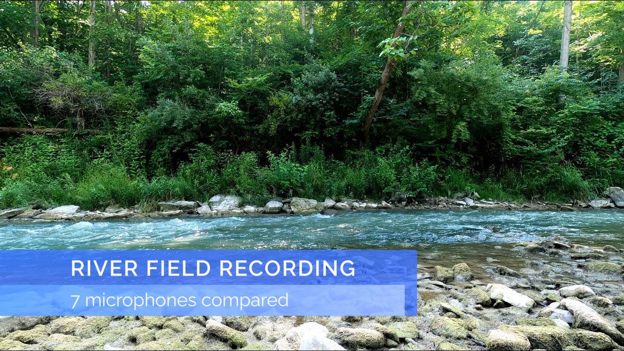 River Audio Recording Microphone Comparison - 7 Microphones