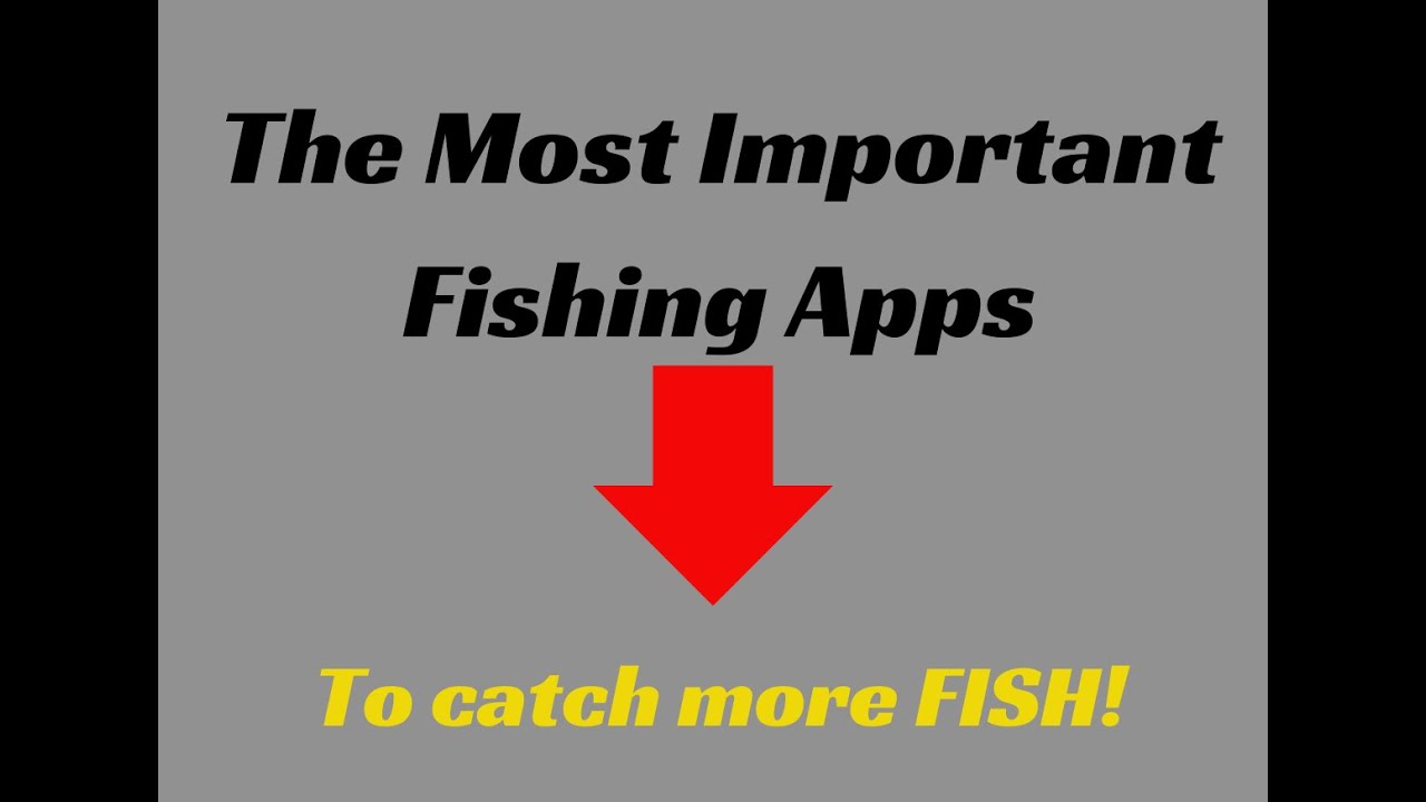 The most important fishing apps to help you catch more fish!
