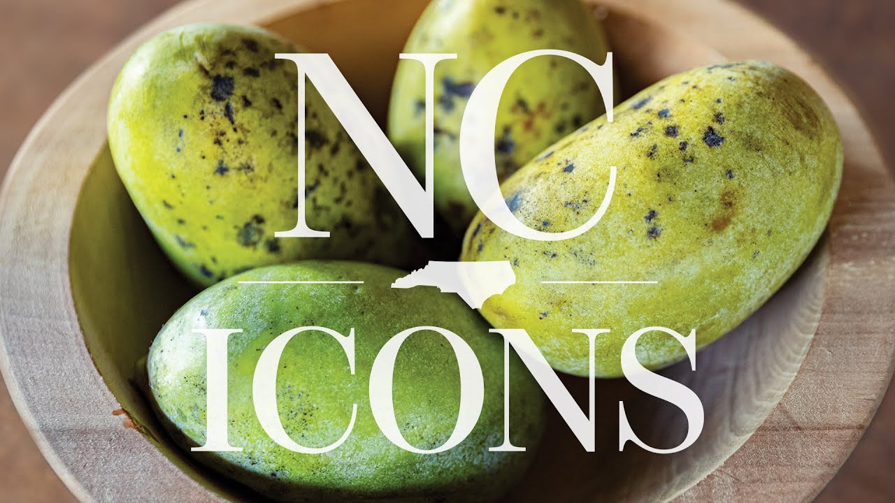 NC Icons: Pawpaws