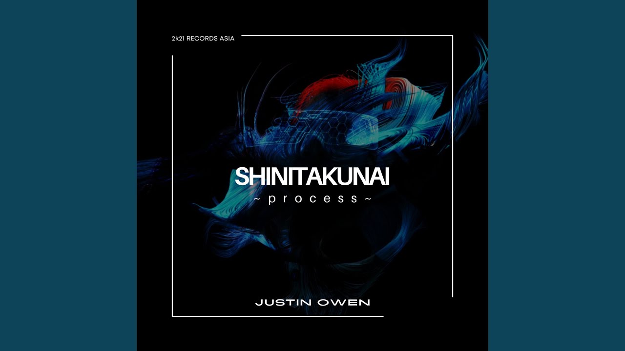 SHINITAKUNAI ～Process～