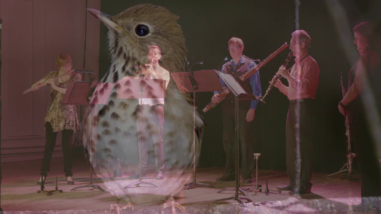 Ventus Machina, Woodwings, mvt 2, Hermit Thrush (Emily Doolittle)