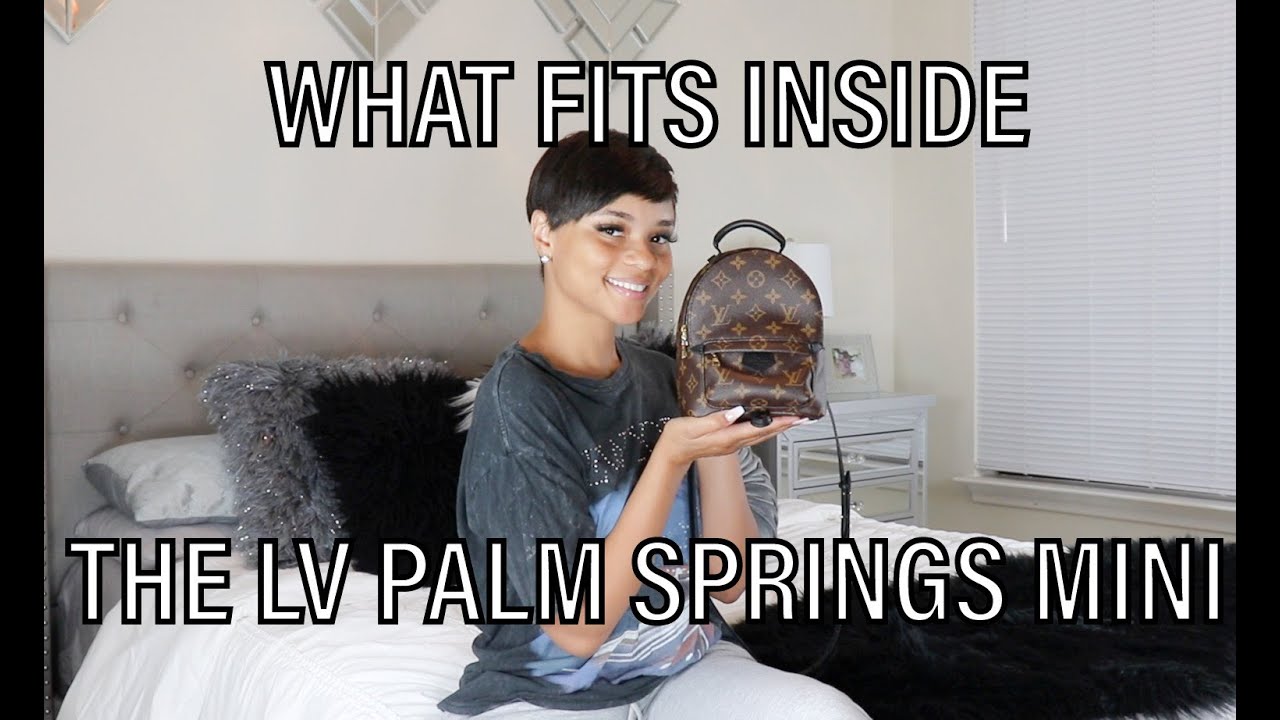 What Fits Inside The Louis Vuitton Palm Springs Mini