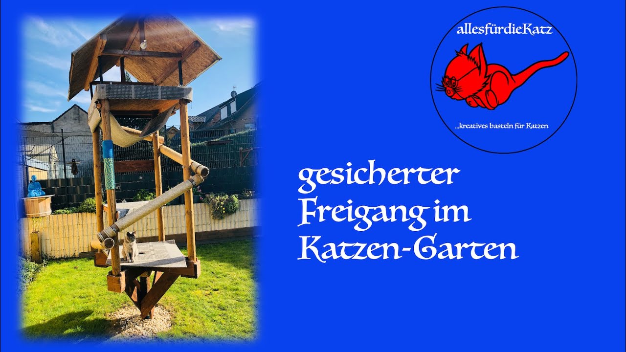 gesicherter Freigang für unsere Katzen.