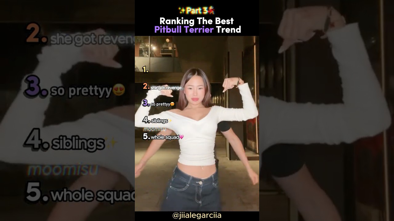 Ranking The Best PITBULL TERRIER Dance Trend ✨(Part 3) 