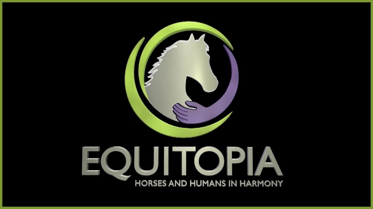 Top 6 Signs Your Saddle is Hurting Your Horse - by Equitopia demonstrated by Jochen Schleese