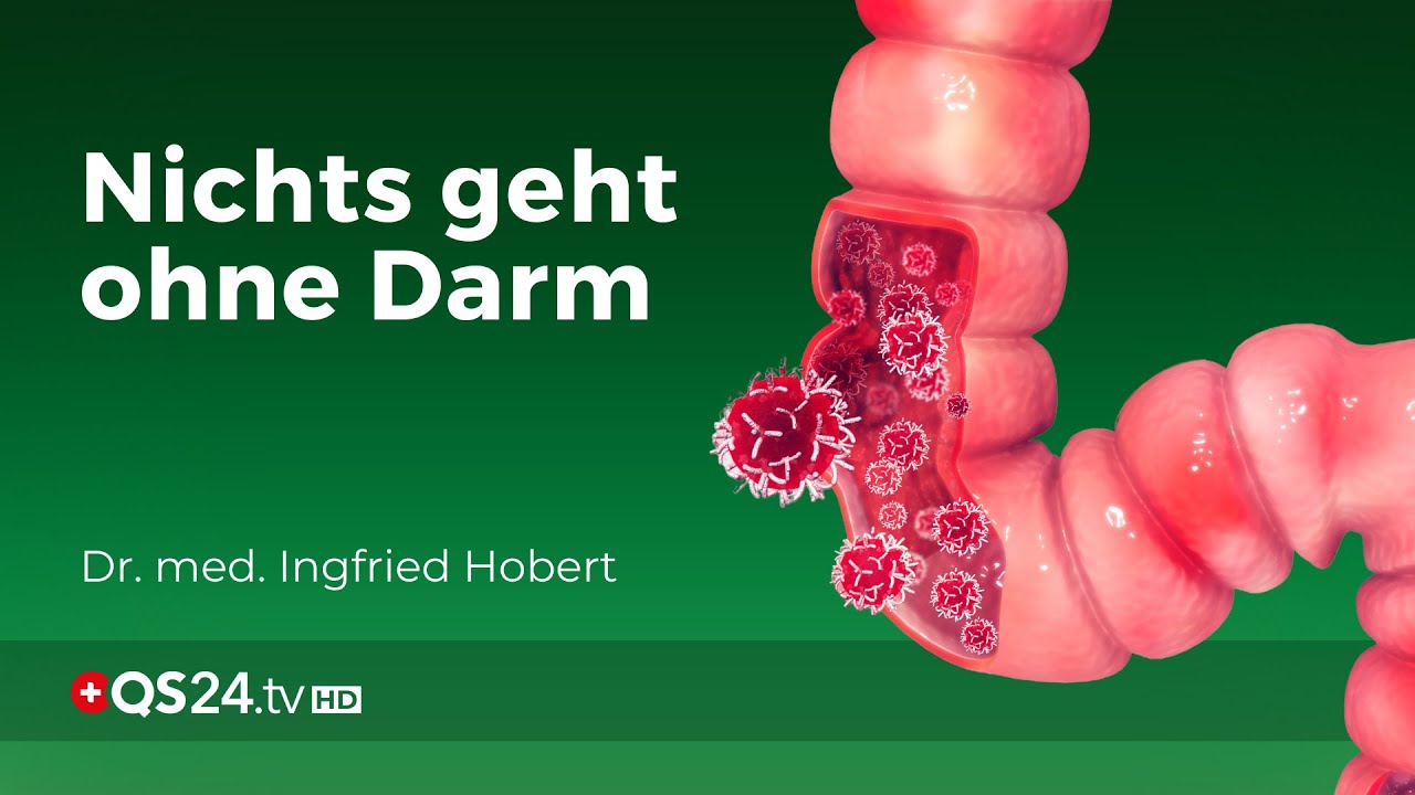 Nichts geht ohne Darm | Dr. med. Ingfried Hobert | Naturmedizin | QS24 10.02.2020