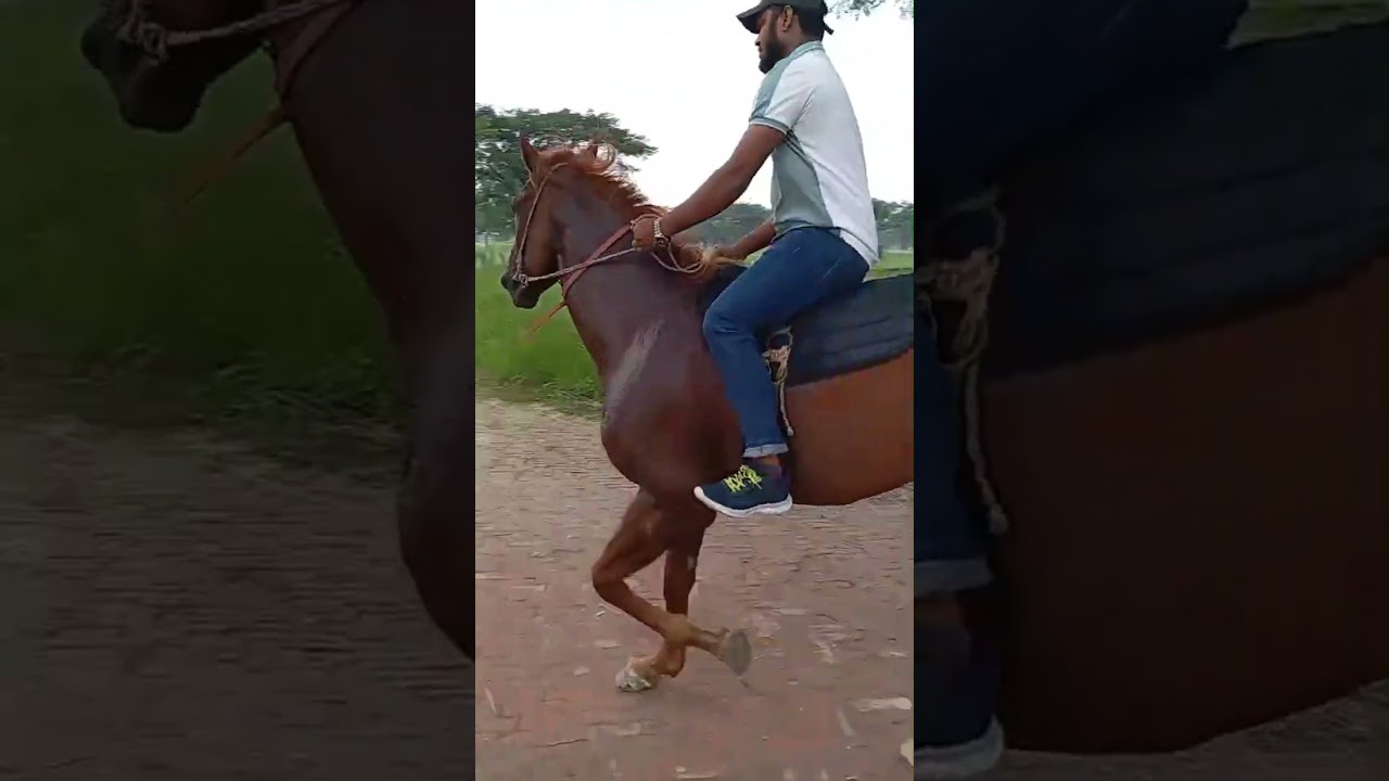 Raw & Real &ndash; Bareback Horse Riding 🐎🖤