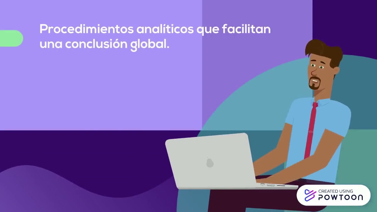 NIA 520 Procedimientos Anal&iacute;ticos