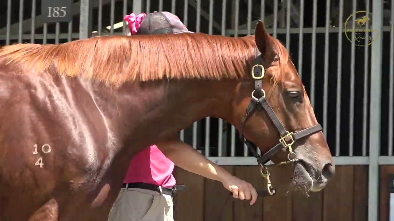 2026 Inglis Classic Home Affairs x Blue Grass Music Colt