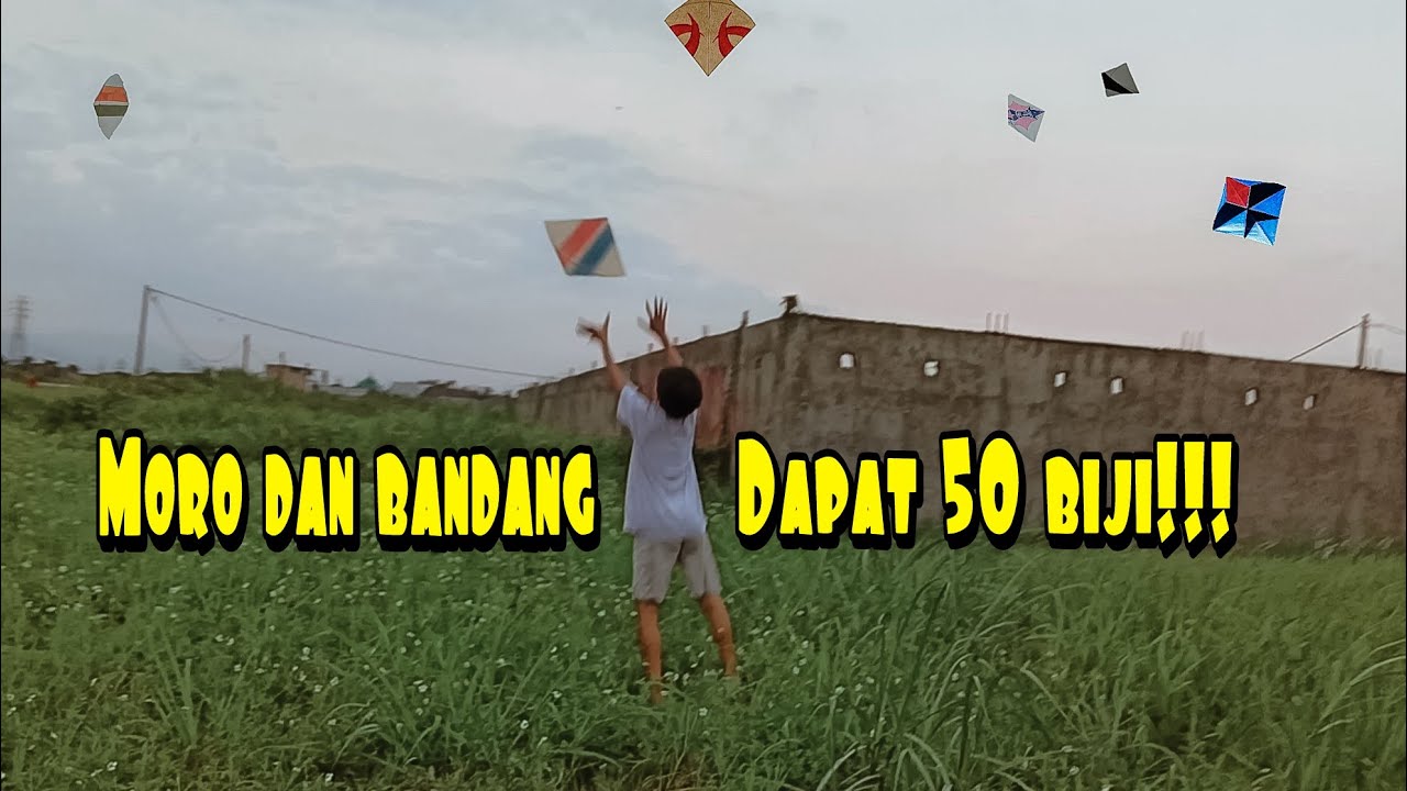 Padahal angin melehoy, Gak Nyangka Dapat 50 biji!