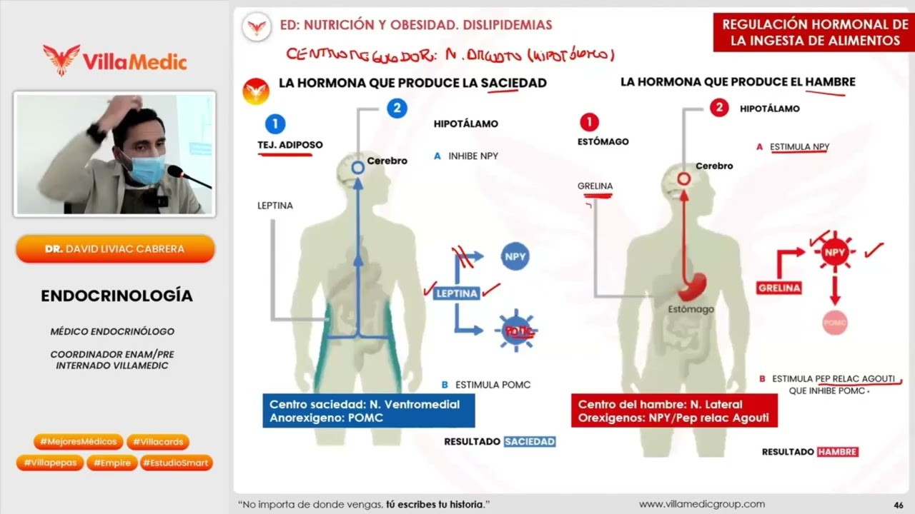 Nutrición y Obesidad 2025 VILLAMEDIC