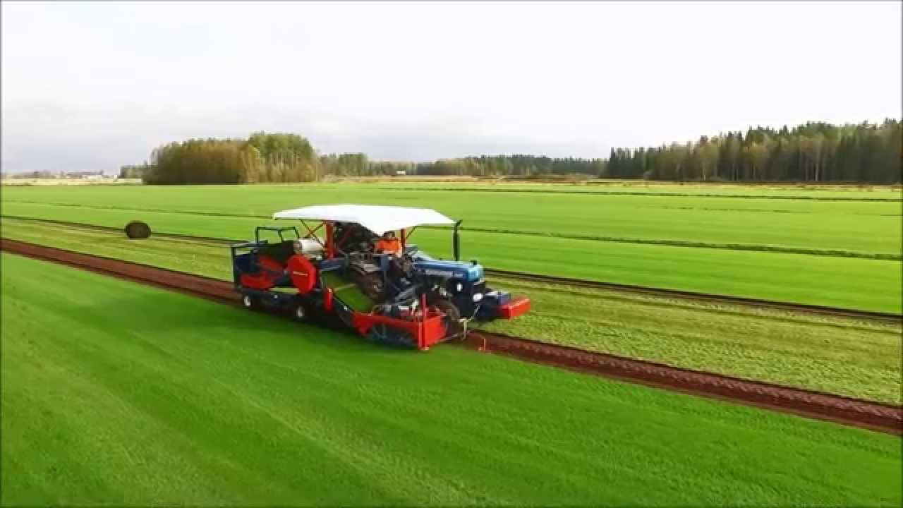 Siirtonurmi Siirtonurmikko Valmisnurmi Valmisnurmikko