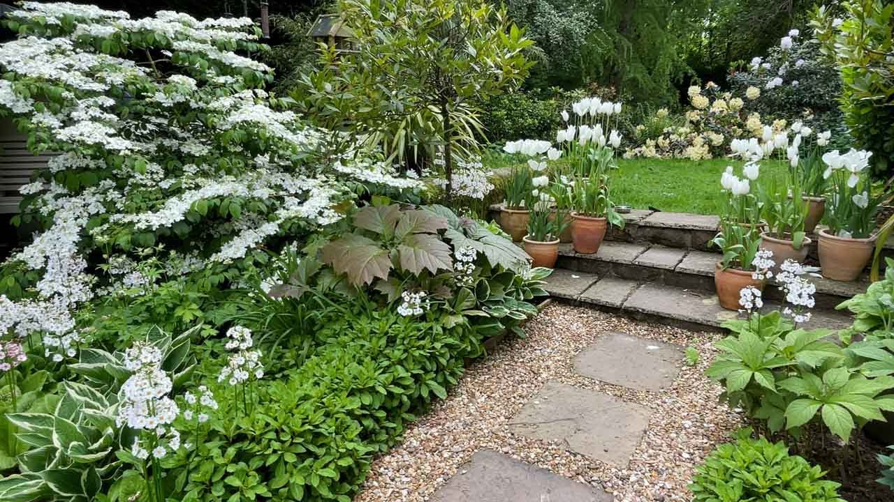 Planting pots for Summer and tour of the White Garden