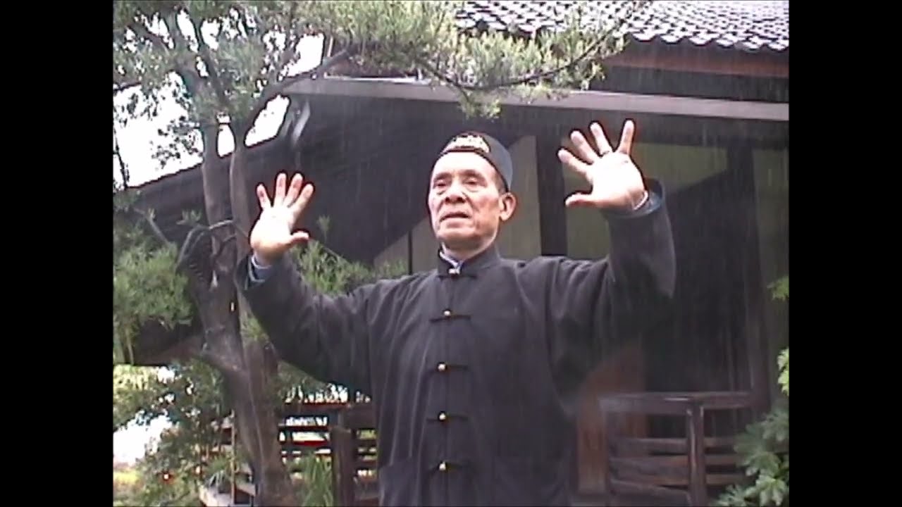 Zhan Zhuang 站樁 Maître Li Jianyu 李见宇.
