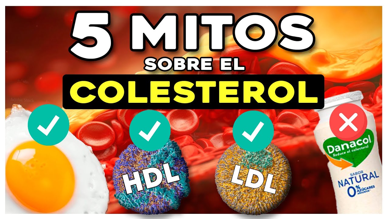 La Ciencia del Colesterol Parte 1: Mitos sobre el colesterol