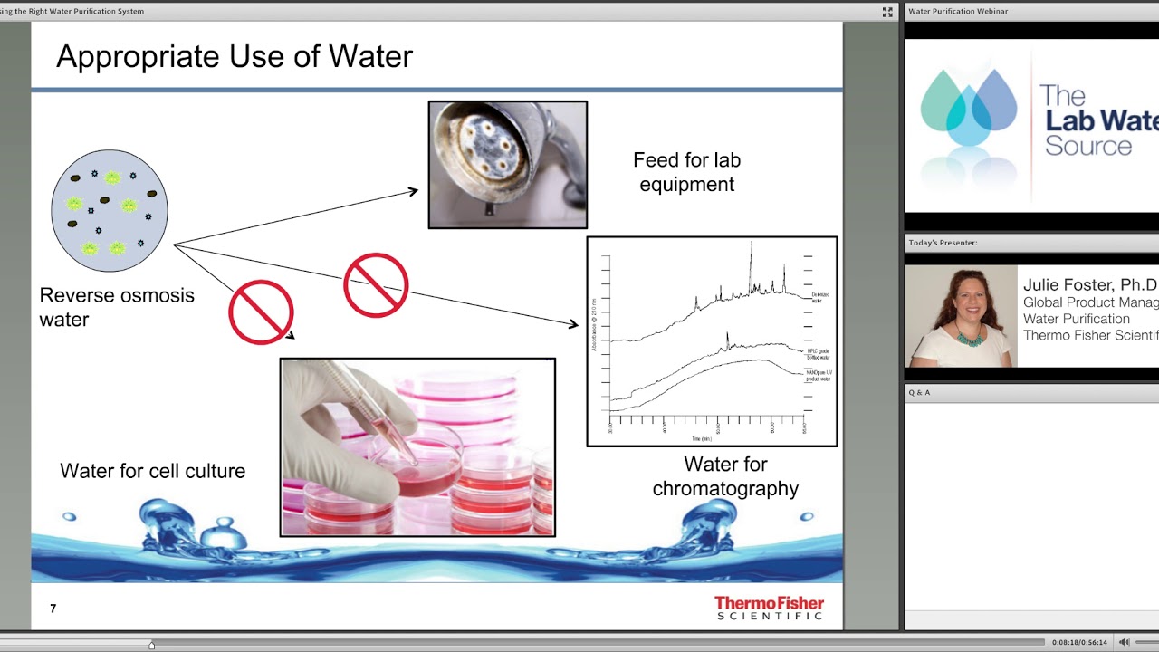 Choosing the Right Water Purification System