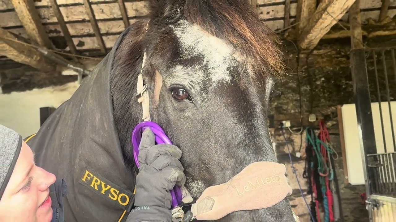 Hoitze makes History @ Frame & Swift’s new Vet centre | Valentine ❤️ with Nero 🌈