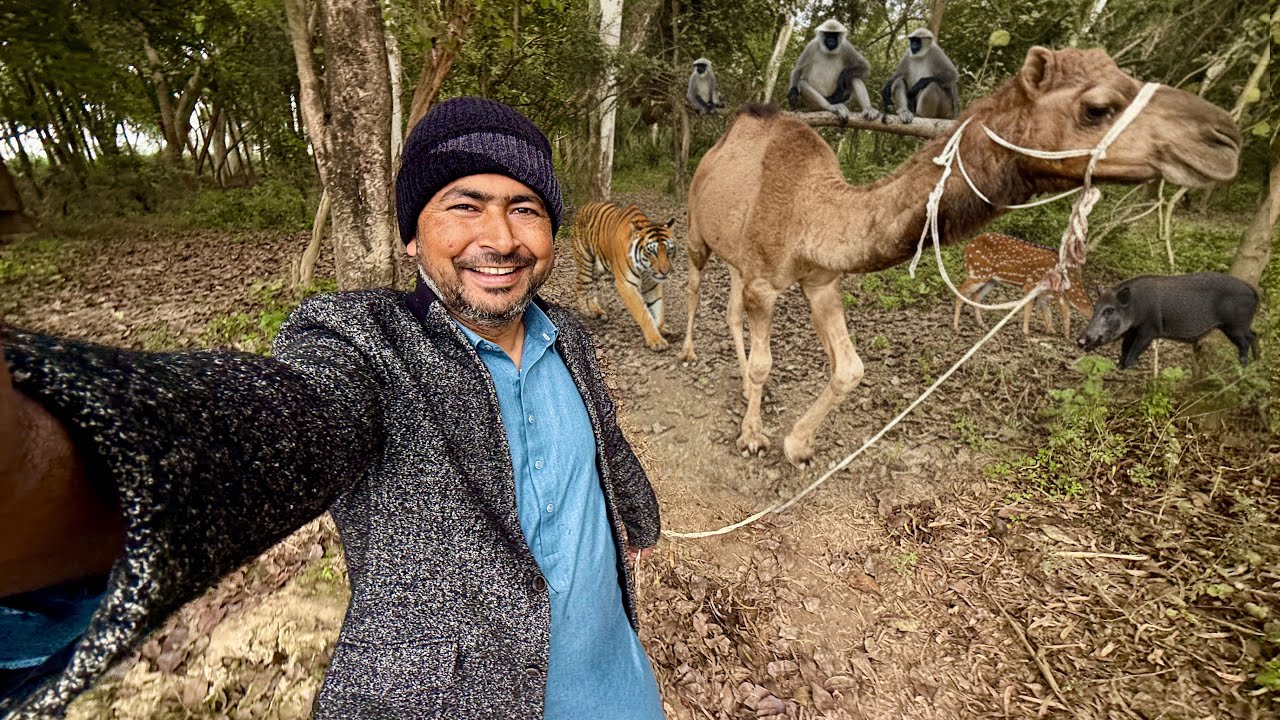Camel 🐪 in Jungle || Zorawar Dar Gaya😱