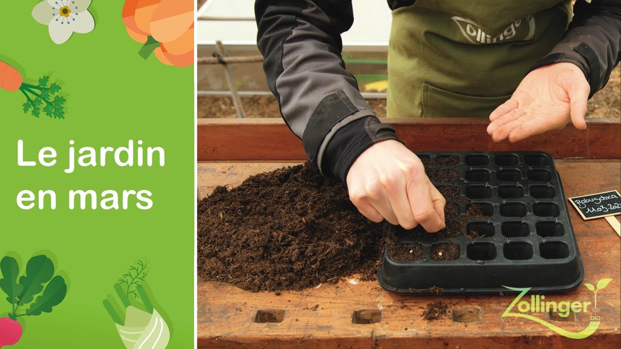 Le jardin en mars: les premiers semis