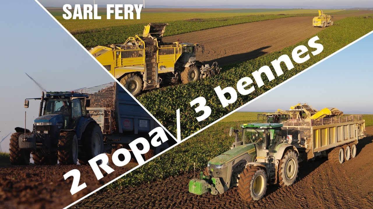 50m3 pour cette benne 😯| 2 Ropa | Arrachage de Betteraves à la SARL FERY