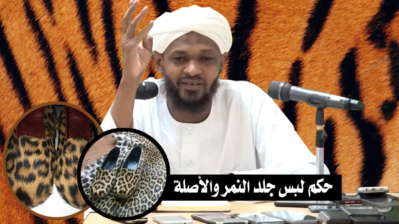 حكم لبس مركوب السباع