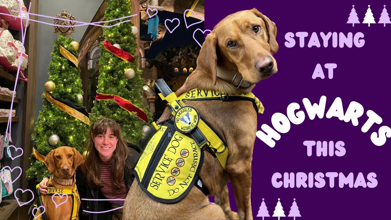 Universal Service Dog Vlog (Holiday Edition)