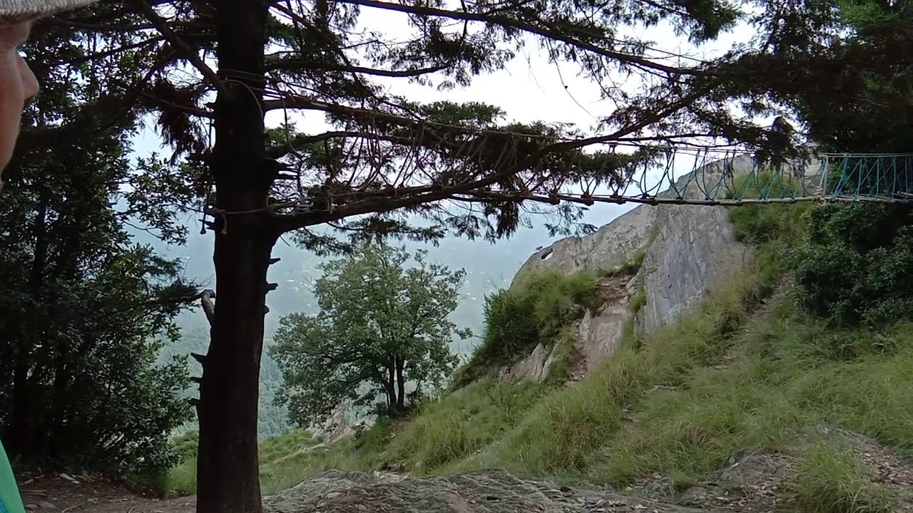 Chauli ki jali #chaulikijali #mukteshwar #nainital