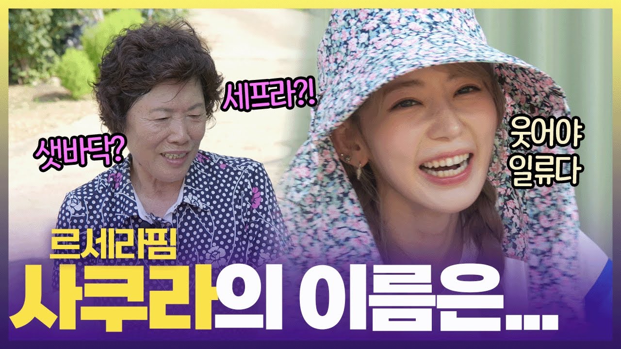 [속보] 르세라핌 사쿠라 개명 임박…?🤣 [6시 내고향] | KBS 240909 방송