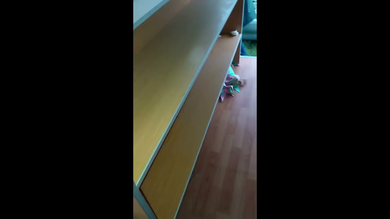 carrito 2