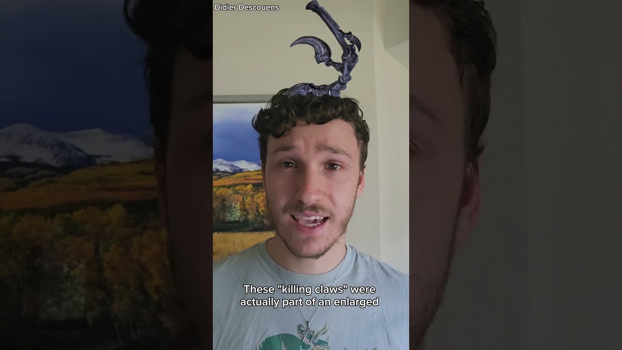 Raptor Claws: What Gives? #fossil #science #dinofossil #dinofacts #raptor #dinosaur #paleontology