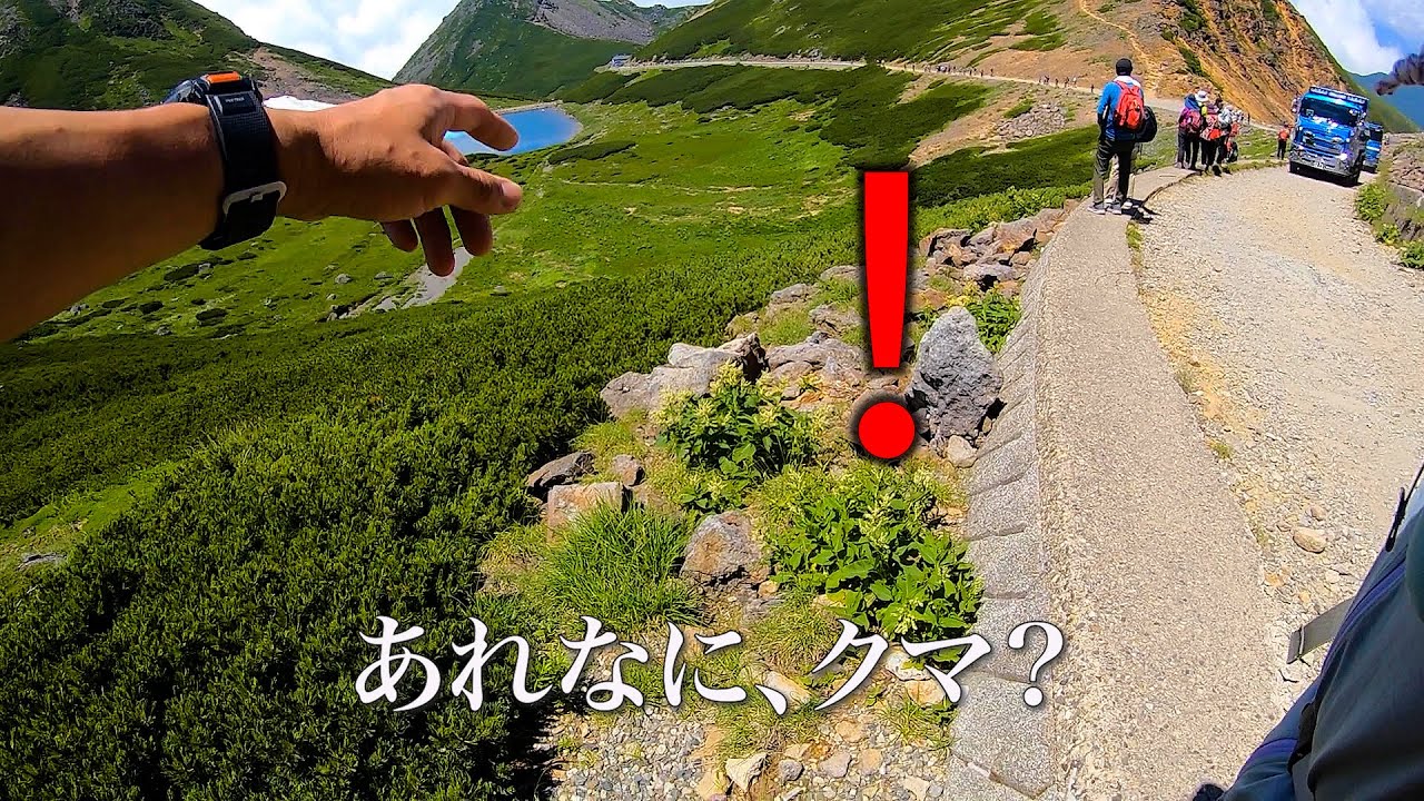 【乗鞍岳】登山で初めて熊に遭遇した日/Encounter a bear