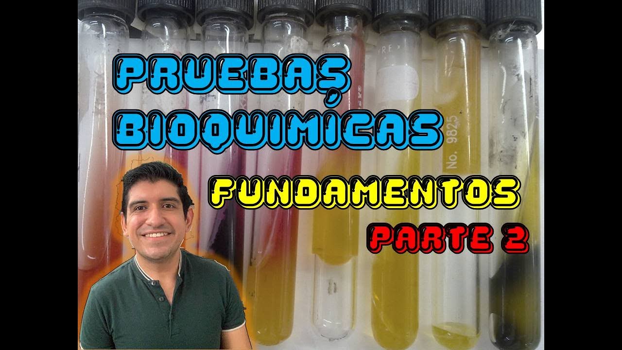 Pruebas Bioquímicas 2