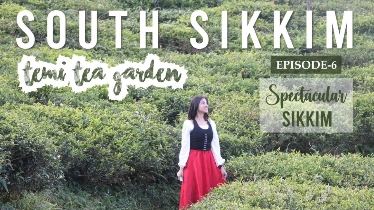 EP 6: SOUTH SIKKIM-Temi Tea Garden | Acute Mountain Sickness