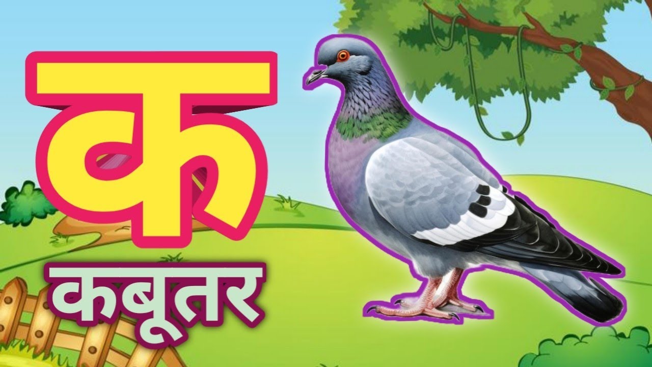 K se kabutar, अ से अनार, आ से आम, हिंदी वर्णमाला, क से कबूतर, a se anar, स्वर व्यंजन, कखग, अआ,20