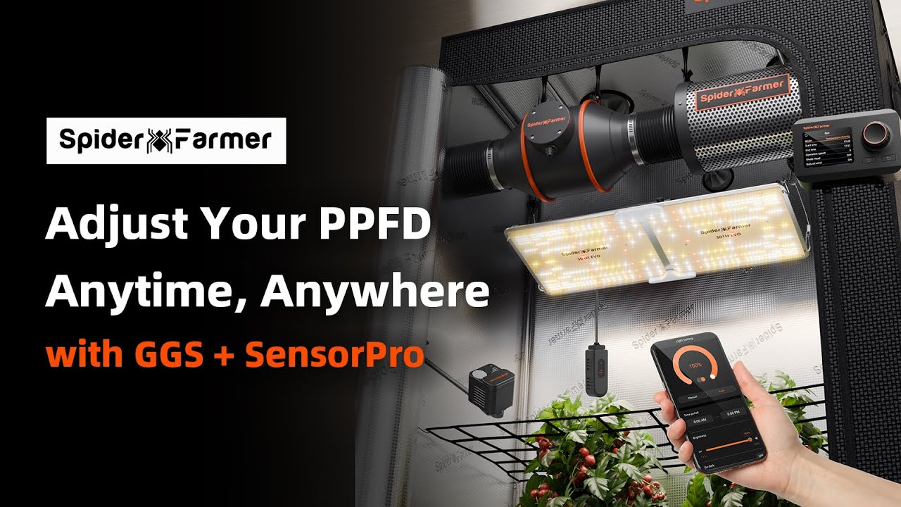 GGS Controller + Light + SensorPro | PPFD Dimming & Smart Grow Tutorial | Spider Farmer